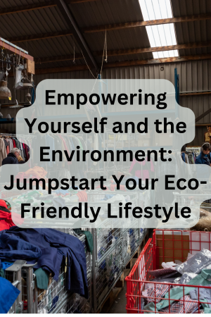 thrift store, Sustainable Life